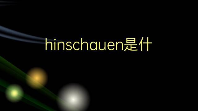 hinschauen是什么意思 hinschauen的翻译、读音、例句、中文解释