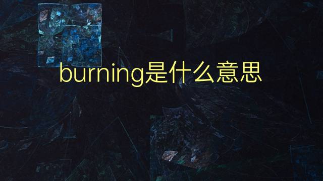 burning是什么意思 burning的翻译、读音、例句、中文解释