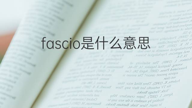 fascio是什么意思 fascio的翻译、读音、例句、中文解释