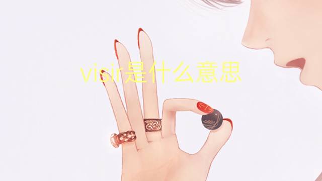 visir是什么意思 visir的翻译、读音、例句、中文解释