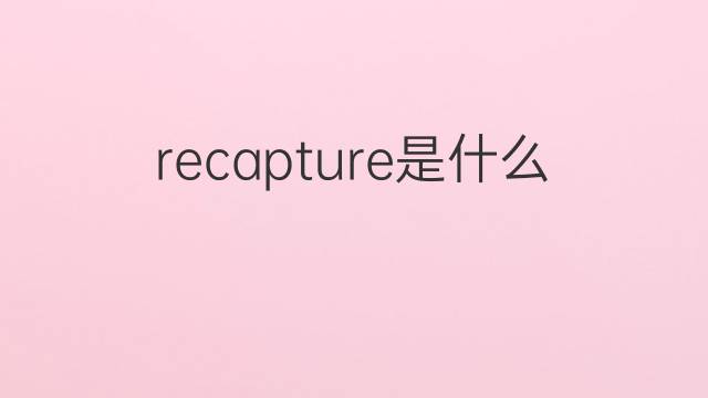 recapture是什么意思 recapture的翻译、读音、例句、中文解释