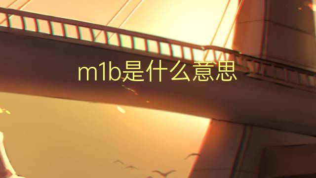 m1b是什么意思 m1b的翻译、读音、例句、中文解释