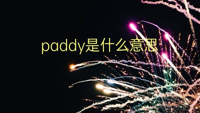 paddy是什么意思 paddy的翻译、读音、例句、中文解释