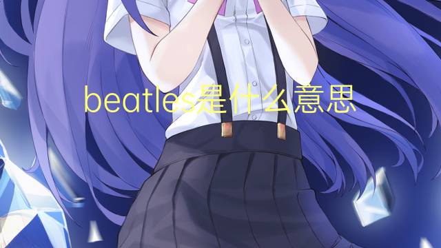 beatles是什么意思 beatles的翻译、读音、例句、中文解释