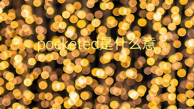 pocketed是什么意思 pocketed的翻译、读音、例句、中文解释