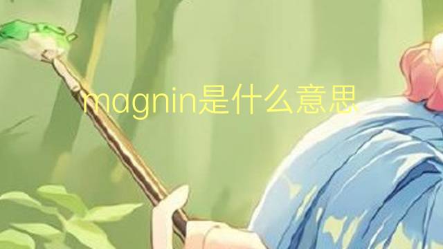 magnin是什么意思 英文名magnin的翻译、发音、来源