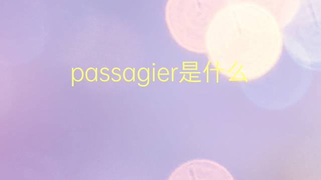 passagier是什么意思 passagier的翻译、读音、例句、中文解释