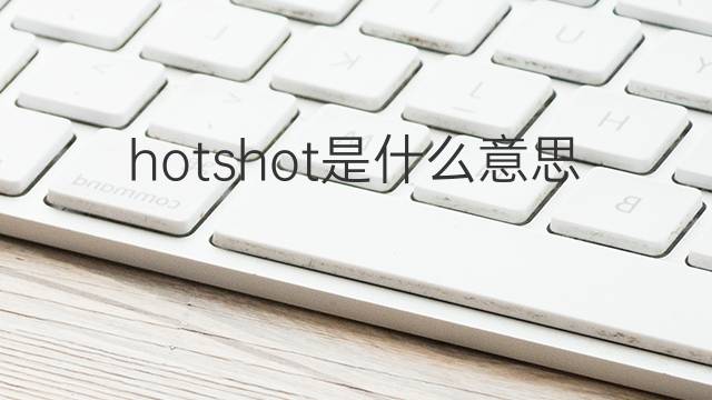 hotshot是什么意思 hotshot的翻译、读音、例句、中文解释