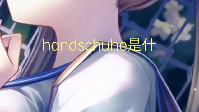 handschuhe是什么意思 handschuhe的翻译、读音、例句、中文解释