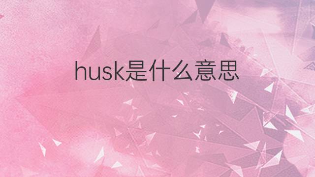 husk是什么意思 husk的翻译、读音、例句、中文解释