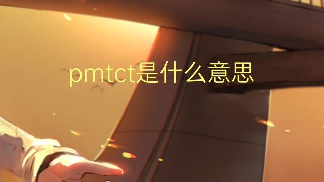 pmtct是什么意思 pmtct的翻译、读音、例句、中文解释