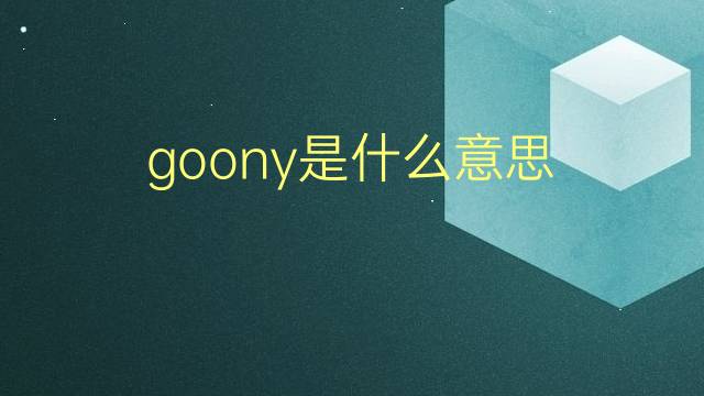 goony是什么意思 goony的翻译、读音、例句、中文解释