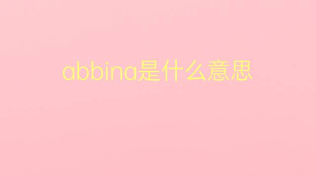 abbina是什么意思 abbina的翻译、读音、例句、中文解释