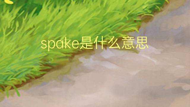 spake是什么意思 spake的翻译、读音、例句、中文解释