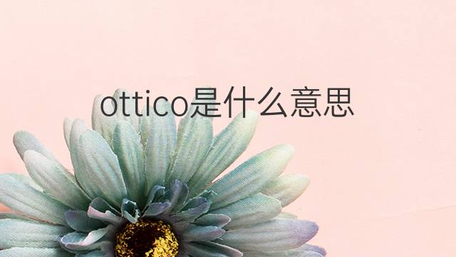 ottico是什么意思 ottico的翻译、读音、例句、中文解释