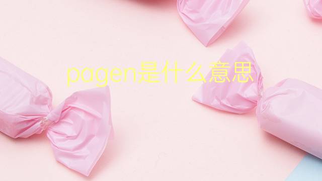 pagen是什么意思 pagen的翻译、读音、例句、中文解释