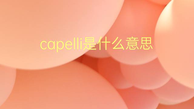 capelli是什么意思 capelli的翻译、读音、例句、中文解释