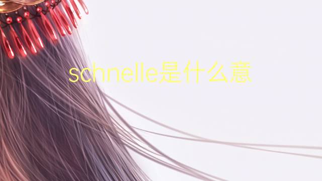 schnelle是什么意思 schnelle的翻译、读音、例句、中文解释