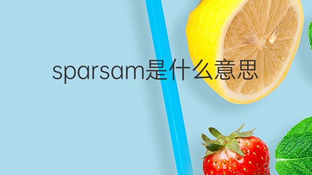 sparsam是什么意思 sparsam的翻译、读音、例句、中文解释