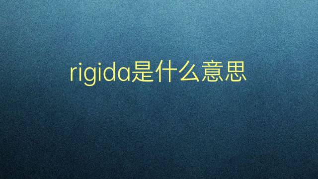 rigida是什么意思 rigida的翻译、读音、例句、中文解释