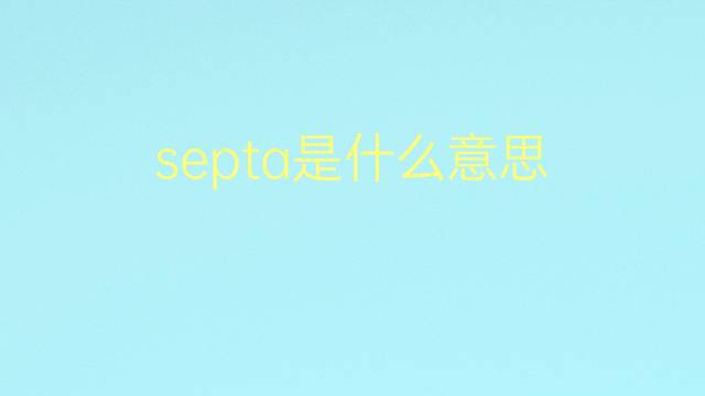 septa是什么意思 septa的翻译、读音、例句、中文解释