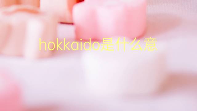 hokkaido是什么意思 hokkaido的翻译、读音、例句、中文解释