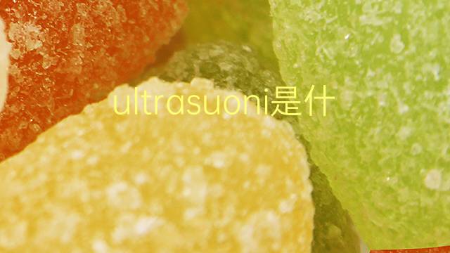 ultrasuoni是什么意思 ultrasuoni的翻译、读音、例句、中文解释