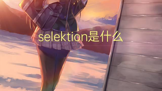 selektion是什么意思 selektion的翻译、读音、例句、中文解释