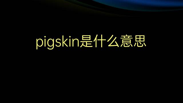 pigskin是什么意思 pigskin的翻译、读音、例句、中文解释