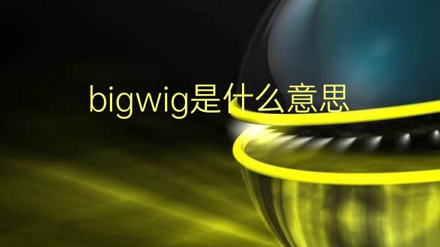 bigwig是什么意思 bigwig的翻译、读音、例句、中文解释