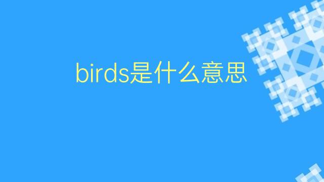 birds是什么意思 birds的翻译、读音、例句、中文解释