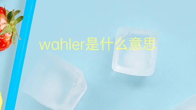 wahler是什么意思 wahler的翻译、读音、例句、中文解释