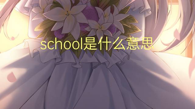 school是什么意思 school的翻译、读音、例句、中文解释