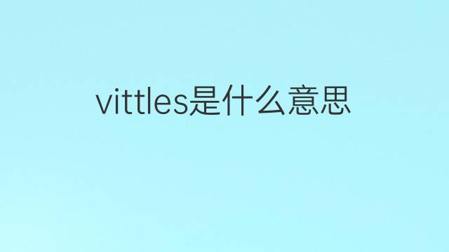 vittles是什么意思 vittles的翻译、读音、例句、中文解释