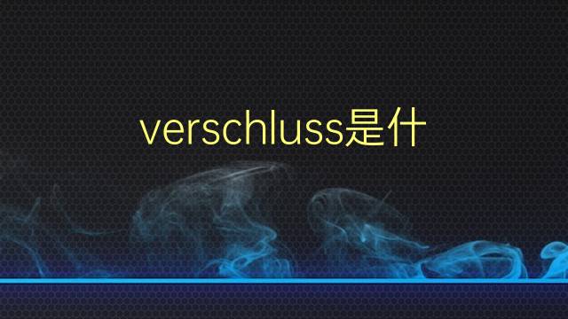 verschluss是什么意思 verschluss的翻译、读音、例句、中文解释