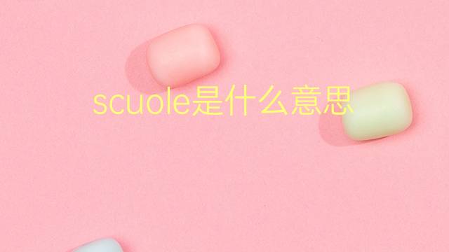 scuole是什么意思 scuole的翻译、读音、例句、中文解释