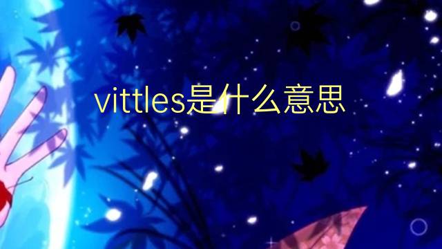 vittles是什么意思 vittles的翻译、读音、例句、中文解释