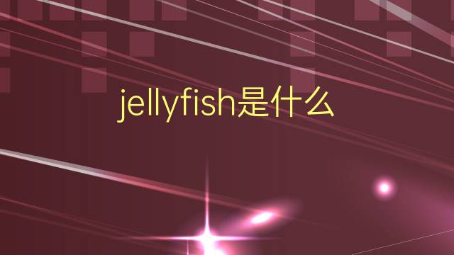 jellyfish是什么意思 jellyfish的翻译、读音、例句、中文解释