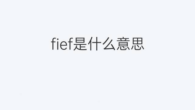 fief是什么意思 fief的翻译、读音、例句、中文解释