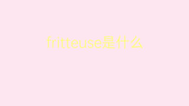 fritteuse是什么意思 fritteuse的翻译、读音、例句、中文解释