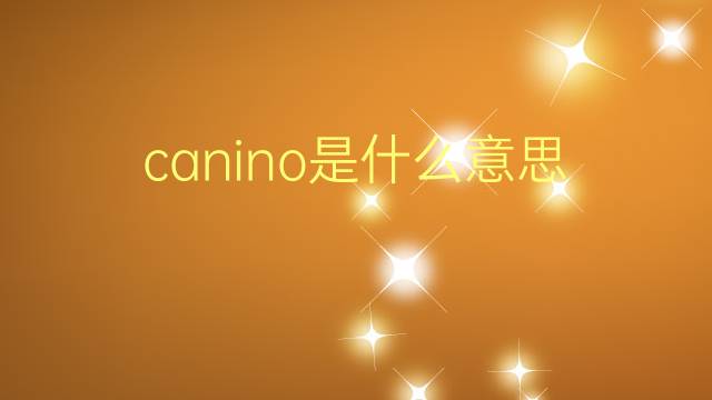 canino是什么意思 canino的翻译、读音、例句、中文解释