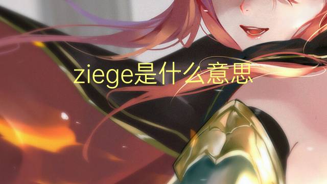 ziege是什么意思 ziege的翻译、读音、例句、中文解释