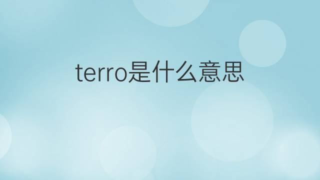 terro是什么意思 terro的翻译、读音、例句、中文解释