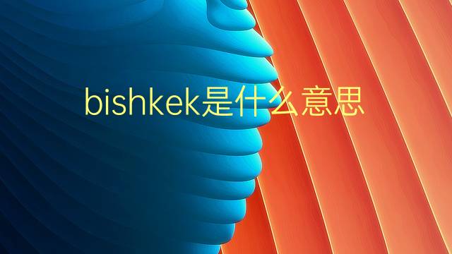 bishkek是什么意思 bishkek的翻译、读音、例句、中文解释