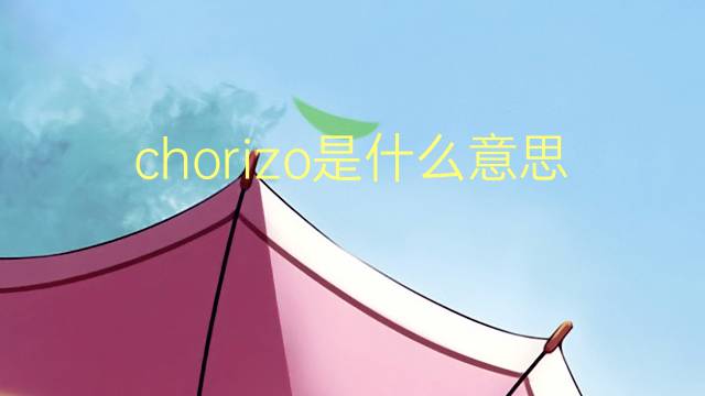 chorizo是什么意思 chorizo的翻译、读音、例句、中文解释