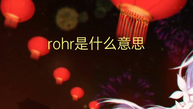 rohr是什么意思 rohr的翻译、读音、例句、中文解释