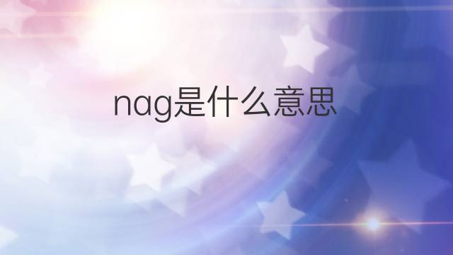 nag是什么意思 nag的翻译、读音、例句、中文解释