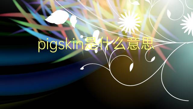 pigskin是什么意思 pigskin的翻译、读音、例句、中文解释