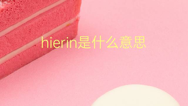 hierin是什么意思 hierin的翻译、读音、例句、中文解释