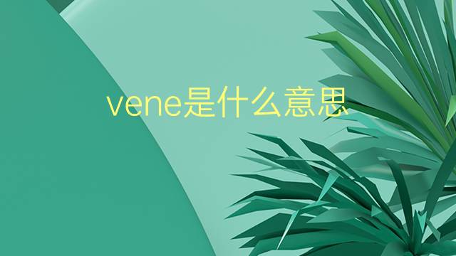 vene是什么意思 vene的翻译、读音、例句、中文解释